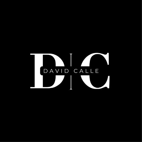 EL RINCON LITERARIO                                               DAVID    CALLE